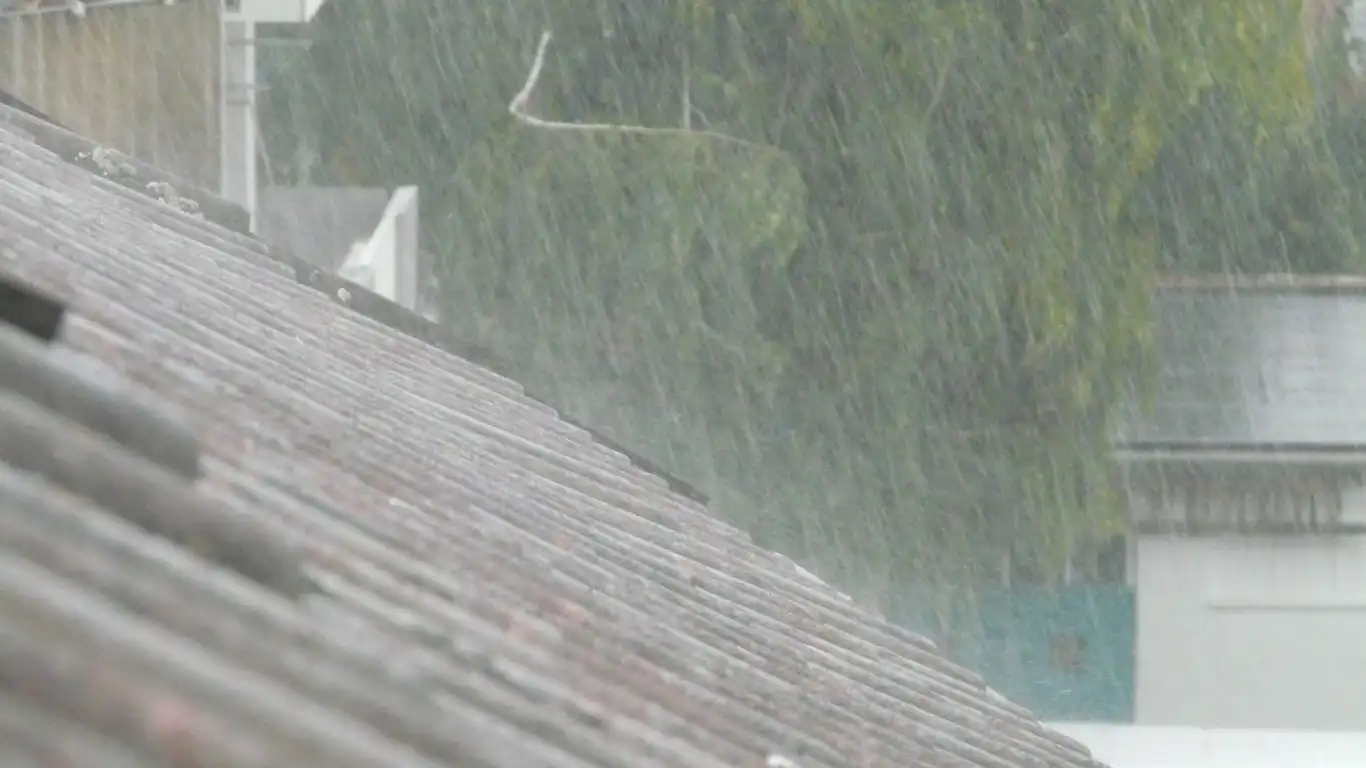 大雨の風景
