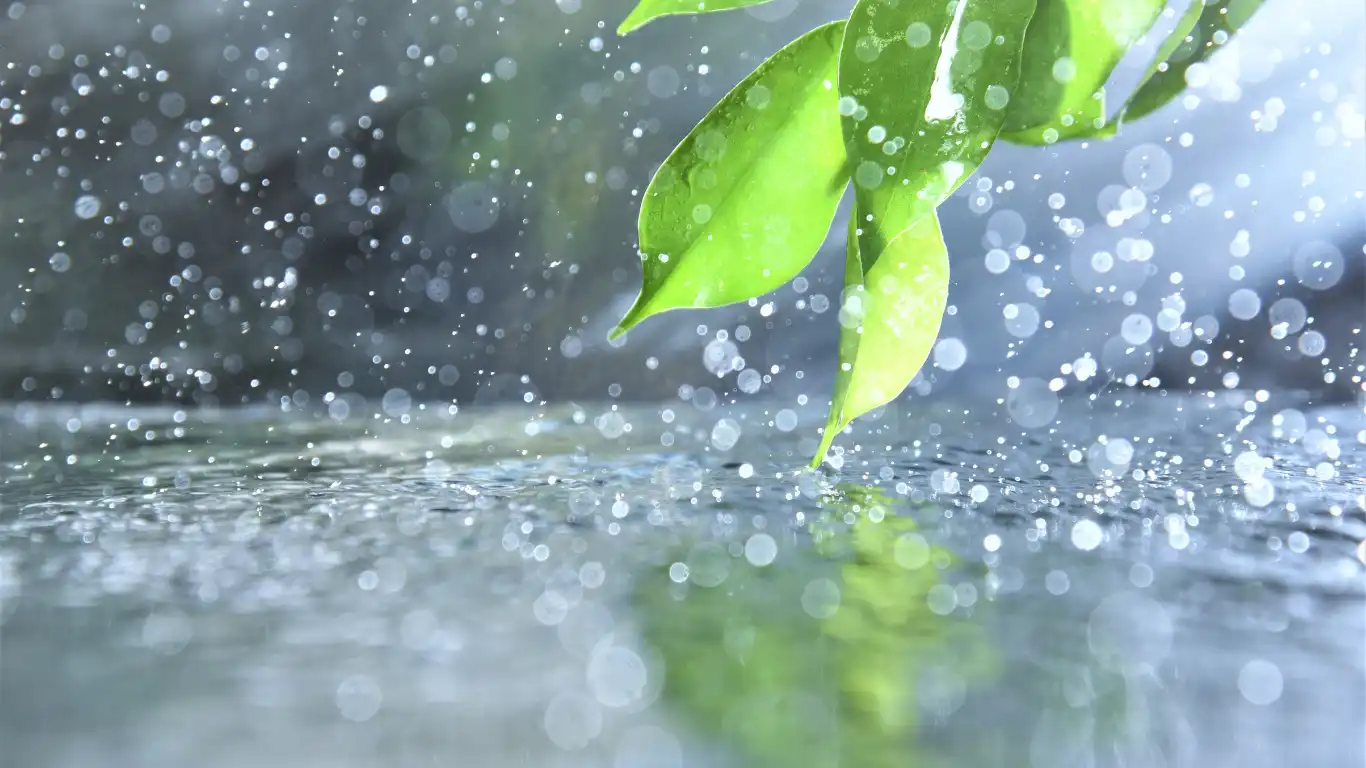 大雨が降っている様子