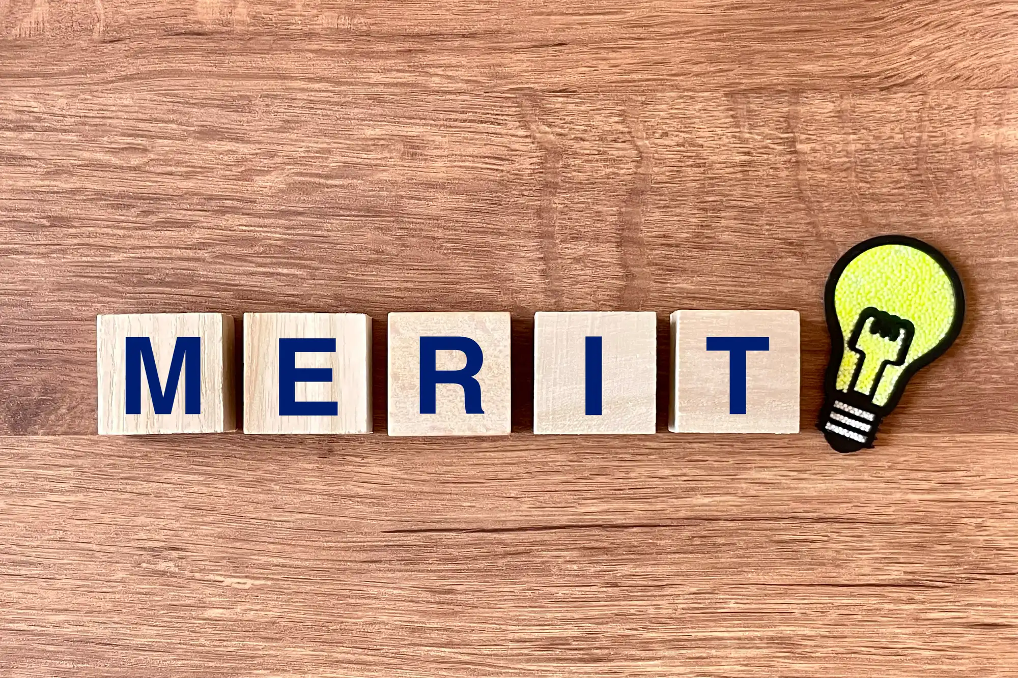 MERITと書かれた積み木と電球のワッペン