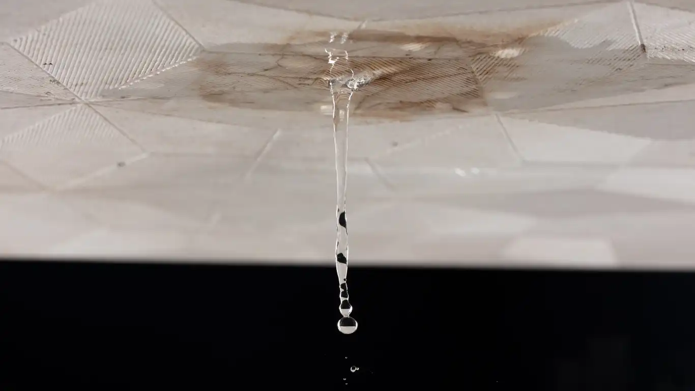 天井から水漏れしている画像