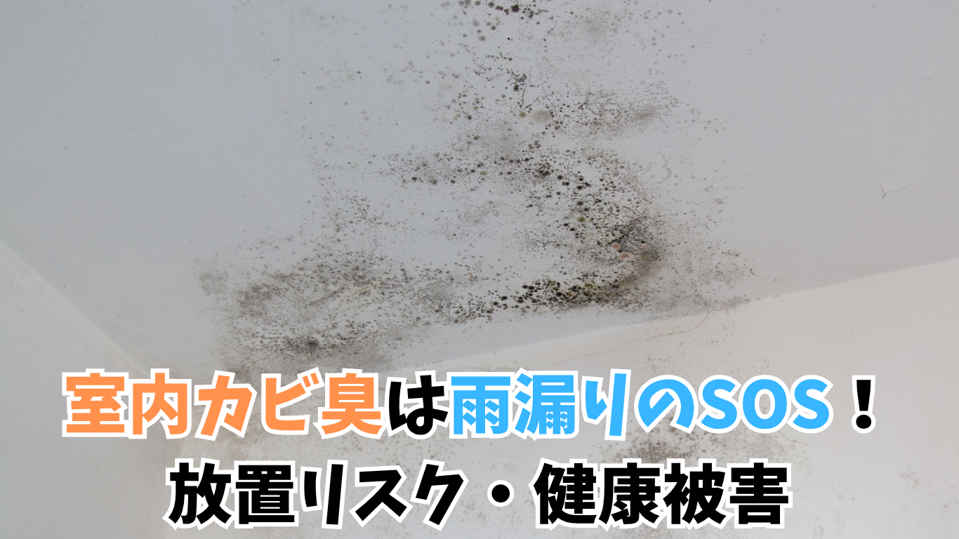 室内カビ臭は雨漏りのSOS！放置リスク・被害