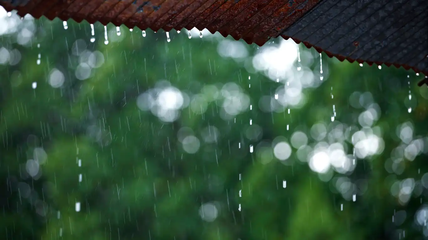 トタン屋根越しに雨が降っているのを見る