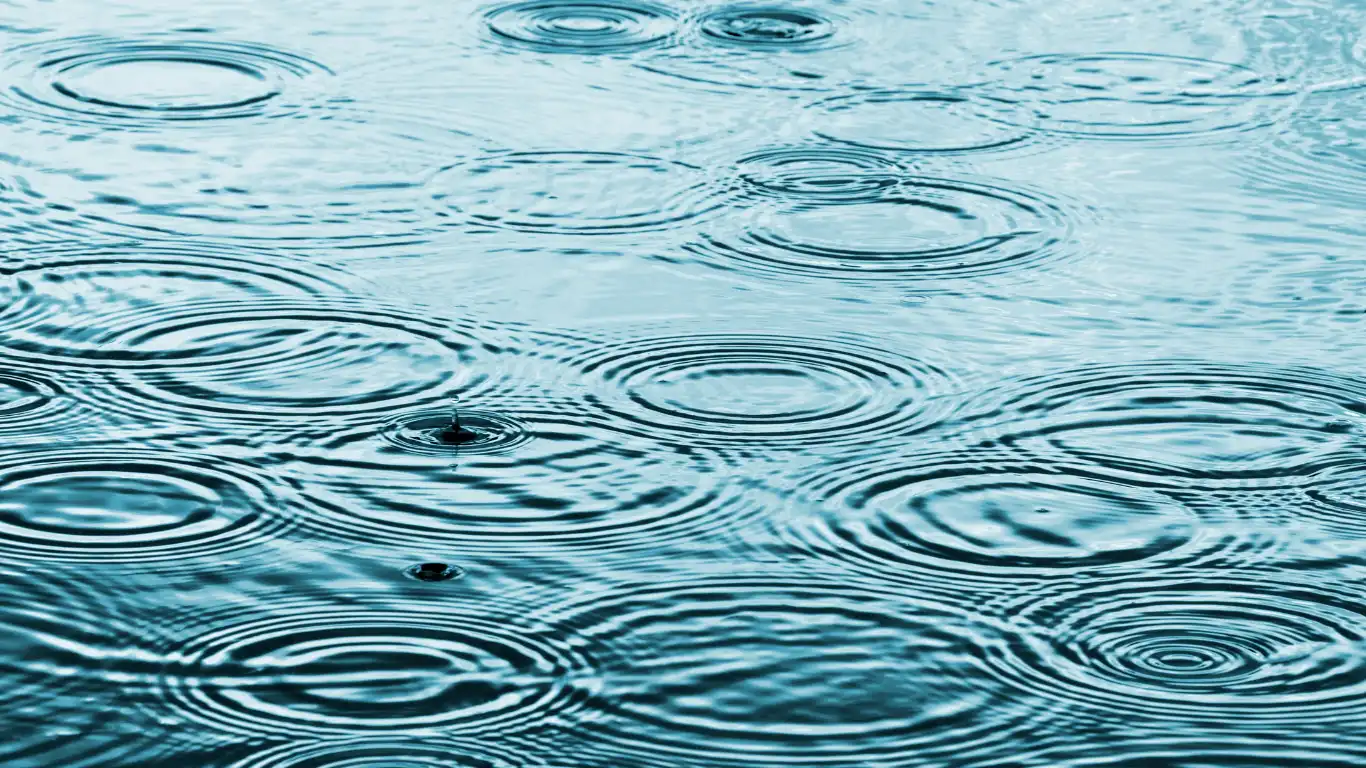 水面に水滴が垂れている様子